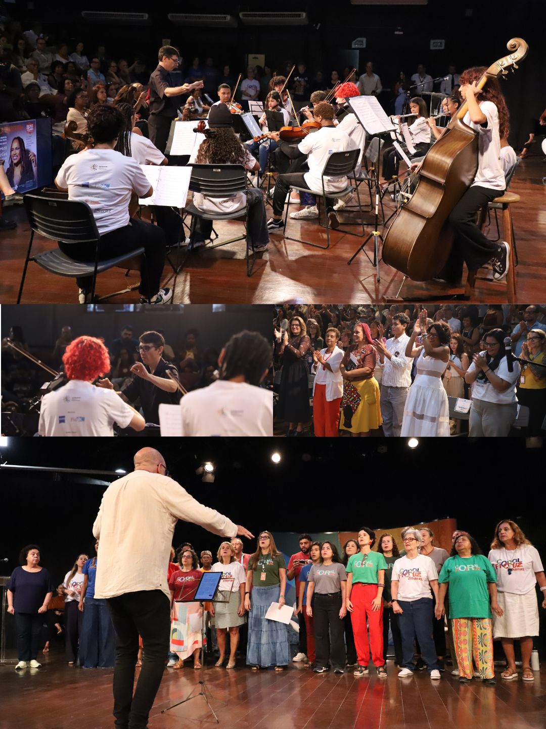 Fotos: Peter Ilicciev