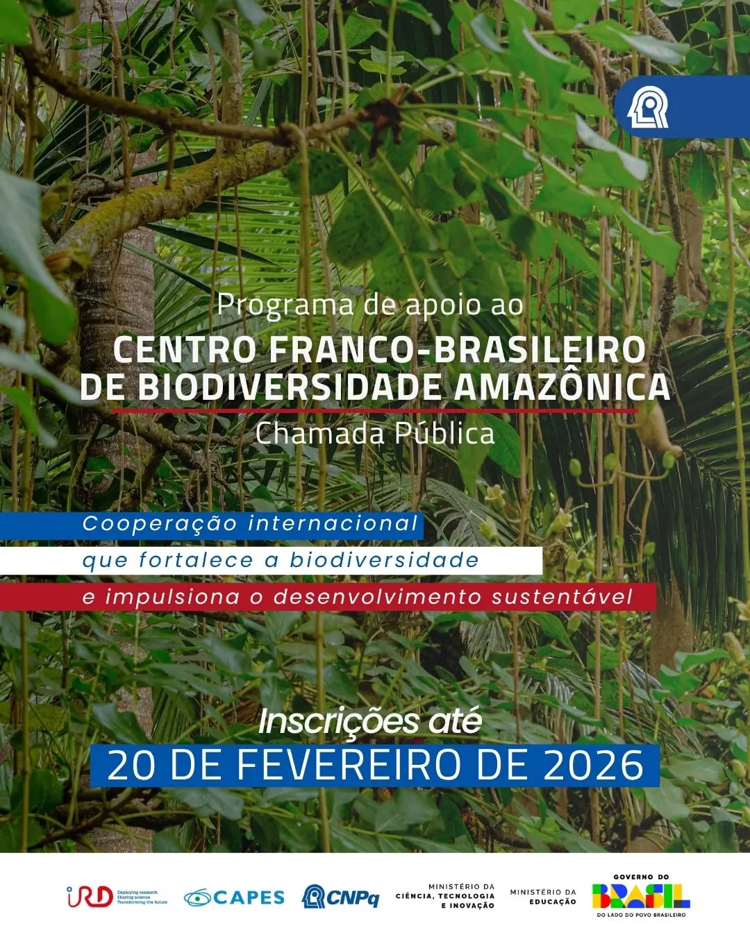 Centro Franco-Brasileiro de Biodiversidade da Amazônia: chamada seleciona projetos de pesquisa em parceria entre brasileiros e franceses