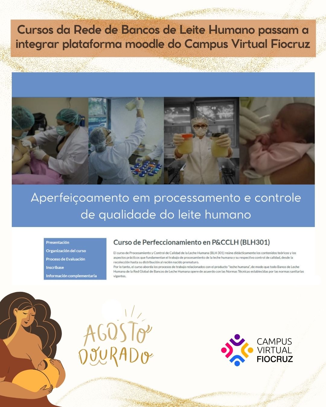 Cursos da Rede de Bancos de Leite Humano passam a integrar plataforma moodle do Campus Virtual Fiocruz
