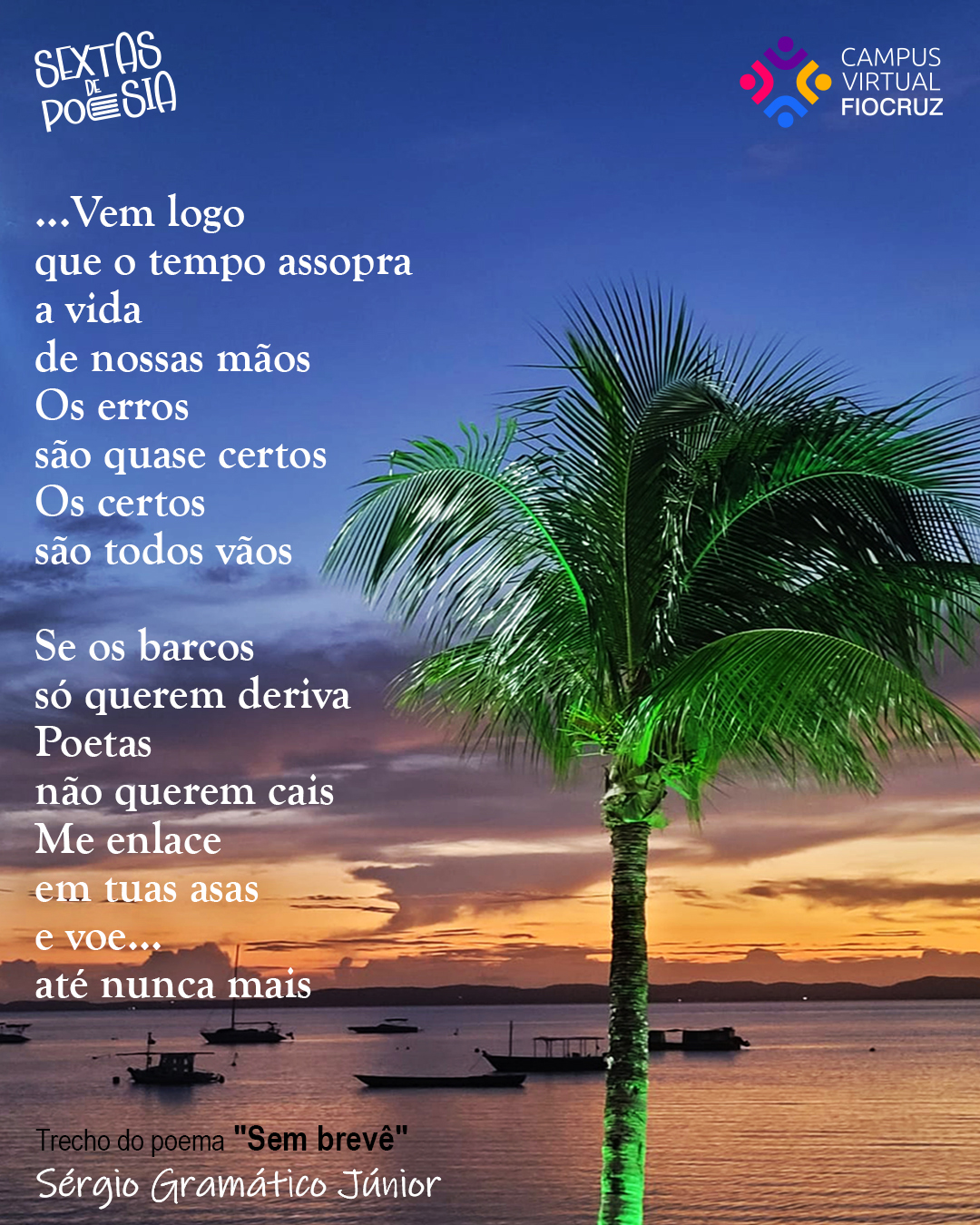Sextas de Poesia nos convida a transversar o mundo e voar até nunca mais