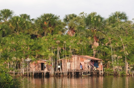 Projeto lança base de dados inédita sobre a Amazônia