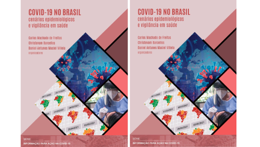 E-book gratuito da Fiocruz apresenta diagnóstico da evolução da pandemia no Brasil