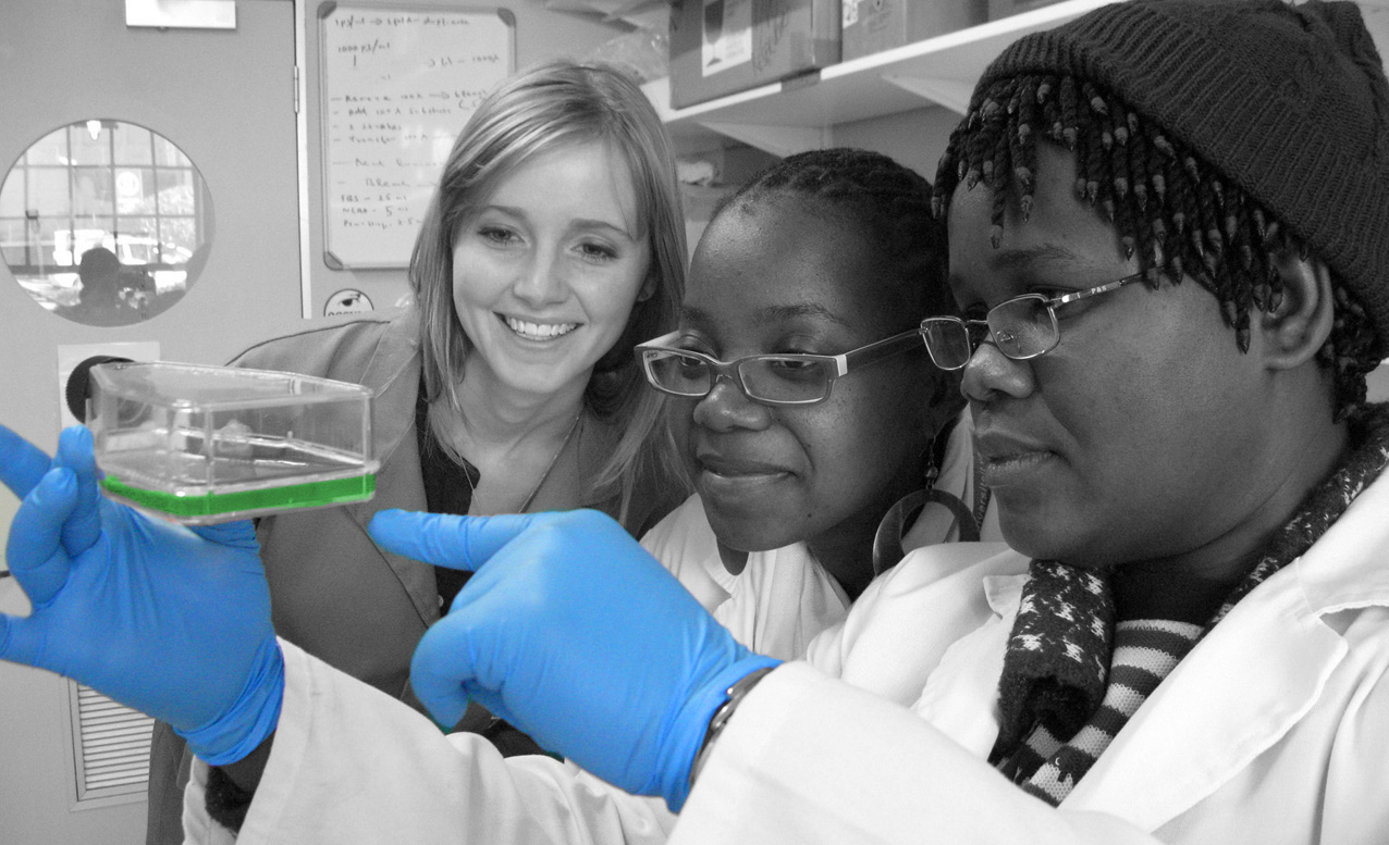 Programa direcionado a mulheres cientistas em início de carreira está com inscrições abertas