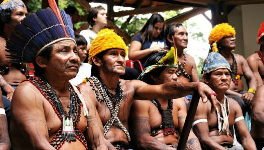 Impacto da contaminação por mercúrio na saúde do povo indígena Munduruku, Pará - Centro de Estudos