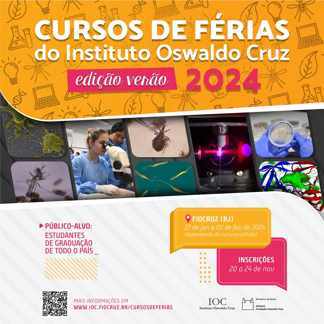 Cursos de Férias Verão 2024: inscrições até 24/11