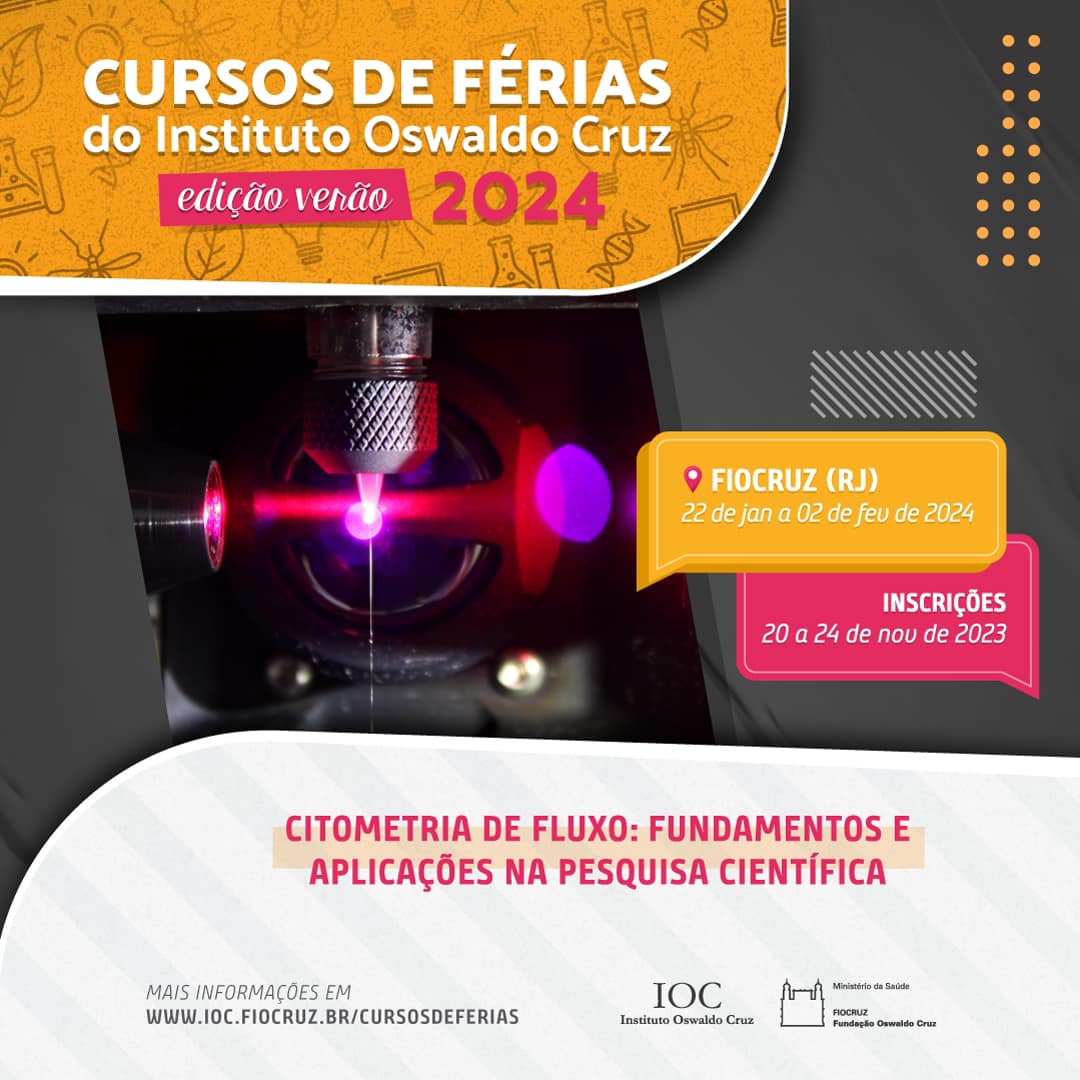 Cursos de férias: programação + diversão - Viral Agenda