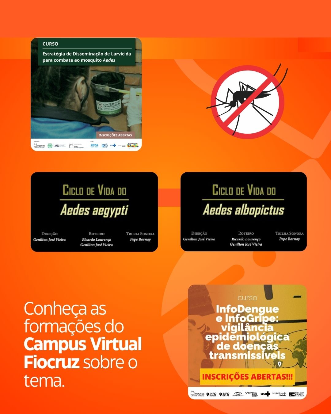 Documentários do IOC detalham a biologia do 'Aedes aegypti' e 'Aedes albopictus'. Confira cursos do Campus Virtual sobre controle de mosquitos e larvicidas