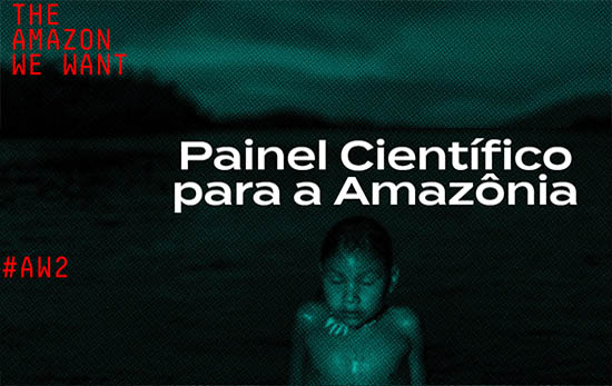 Relatório do Painel Científico para a Amazônia abre consulta pública