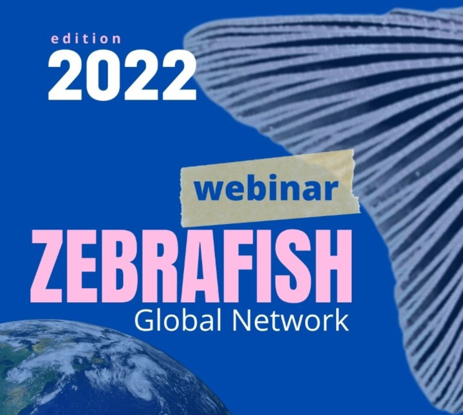 Fiocruz abre inscrições para webinar sobre zebrafish